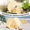 image:imageTiny Land Baby Beach Tent Pop Up Baby Tent with UPF 50 Sun Protection  Portable Baby Beach Essentials 354x276x315 Sun Shelter for Infants Baby Outdoor Use Sunset BlushPastel Yellow Stripes