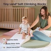 image:imageTiny Land Soft Foam Climbing Blocks for Toddlers 6Piece Foam Blocks  Indoor Playground Baby Climbing Toys Ideal Gift for Kids Activity Crawling and Sliding Foam Play Set VintageMorandi